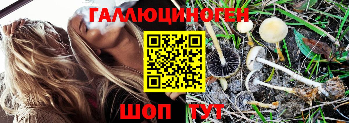 Псилоцибиновые грибы MAGIC MUSHROOMS Лянтор
