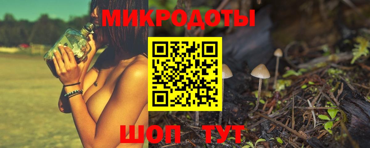 Лянтор  Галлюциногенные грибы Cubensis  Вход с VPN 