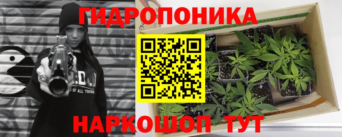 Каннабис семена  Бошки Шишки ГИДРОПОН  Вход с VPN  Лянтор  Бошки Шишки индика 